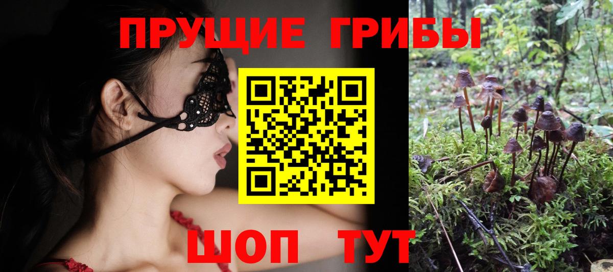Псилоцибиновые грибы Cubensis Куйбышев