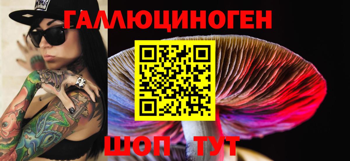 Куйбышев  Галлюциногенные грибы Psilocybine cubensis  купить наркоту  Вход с VPN  Псилоцибиновые грибы ЛСД 
